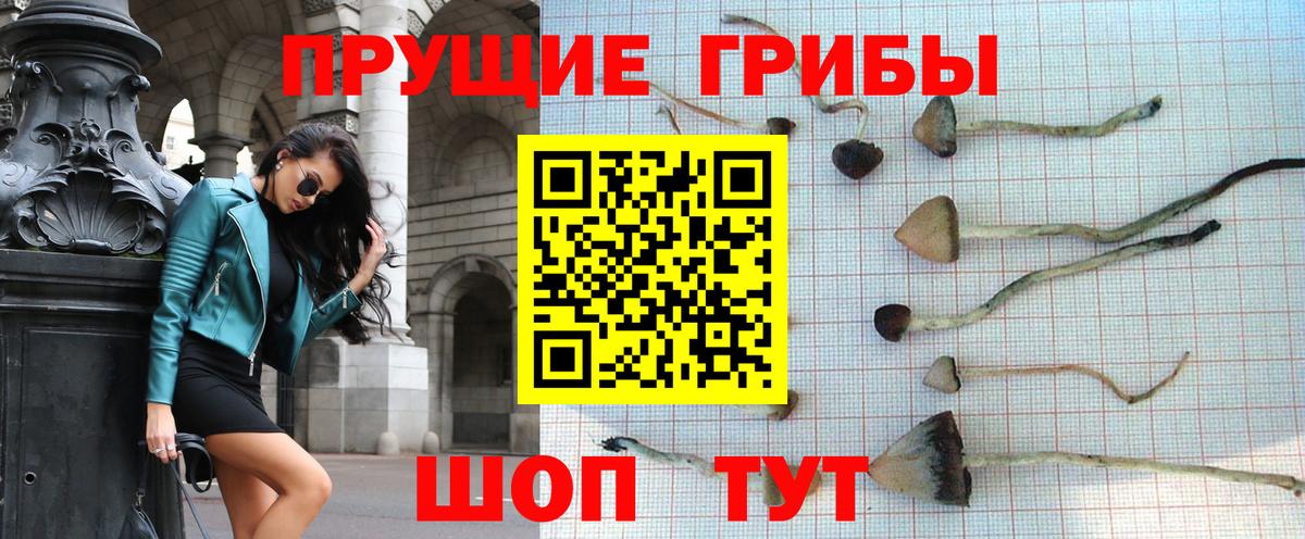 Псилоцибиновые грибы ЛСД Родники