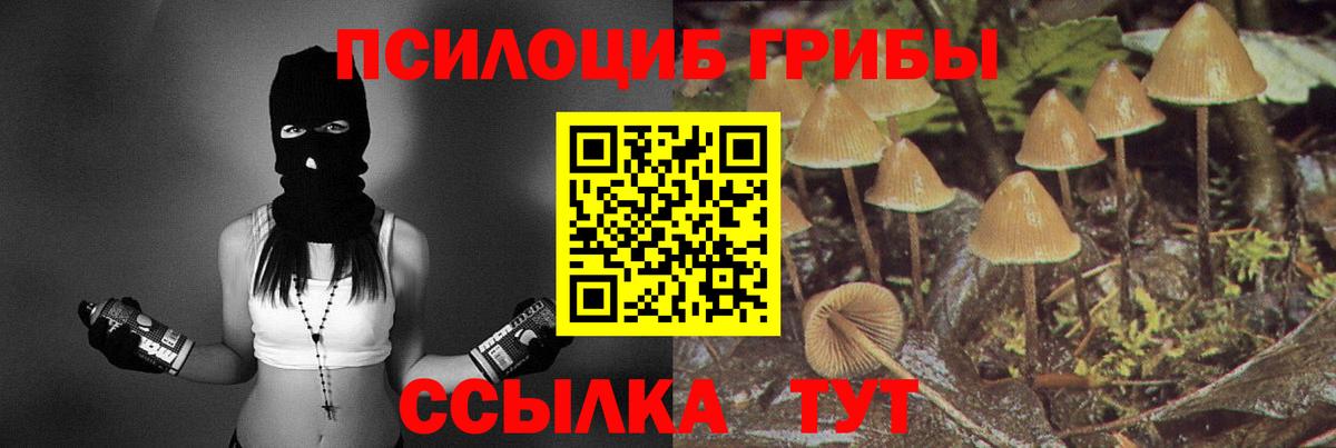 Псилоцибиновые грибы Psilocybine cubensis  Галлюциногенные грибы ЛСД  Вход с VPN  Родники 